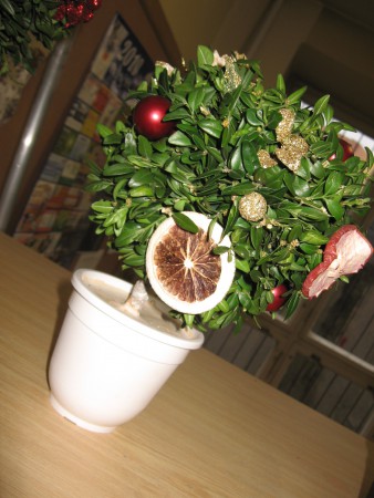 Vianočné stromčeky